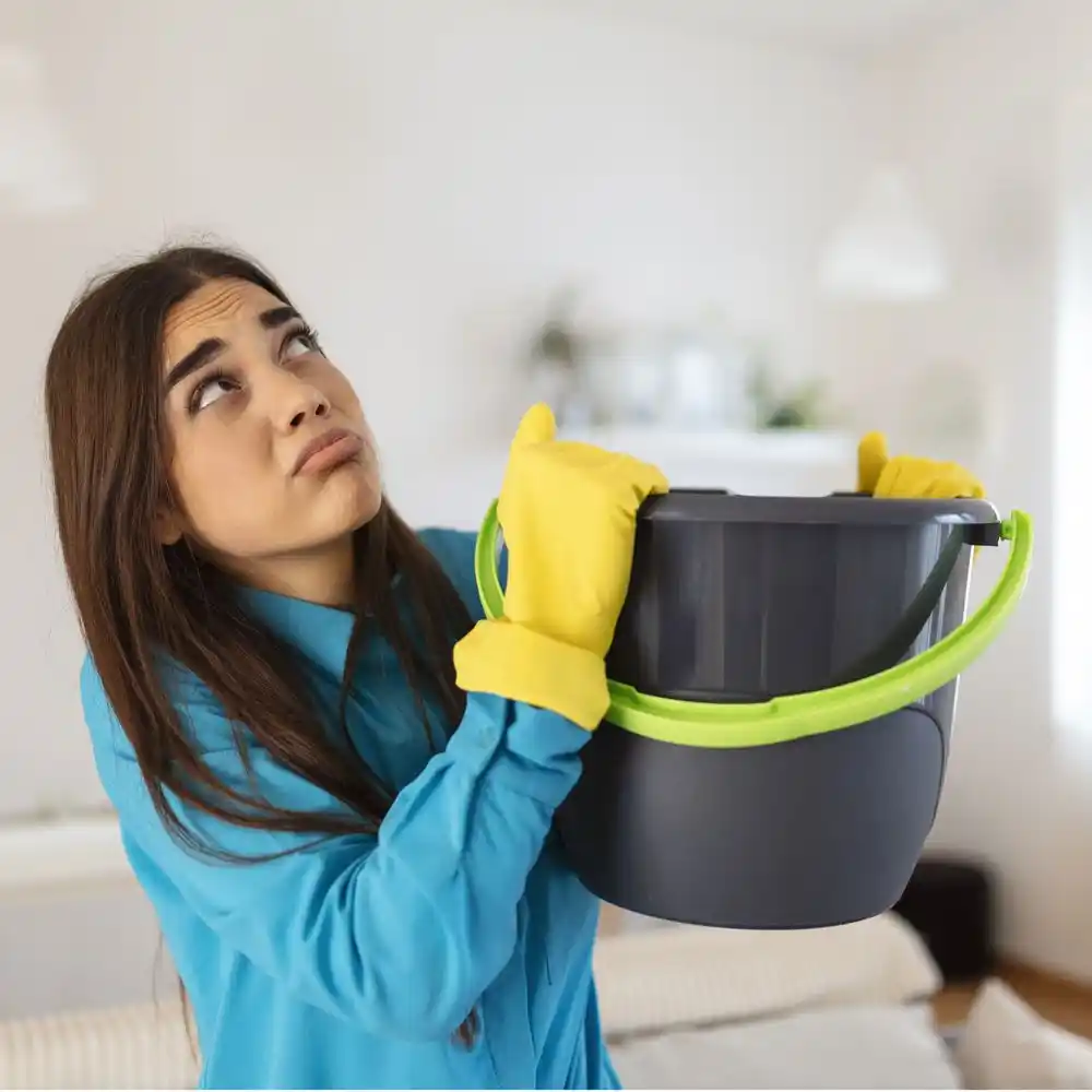 water damage restoration service Cresaptown